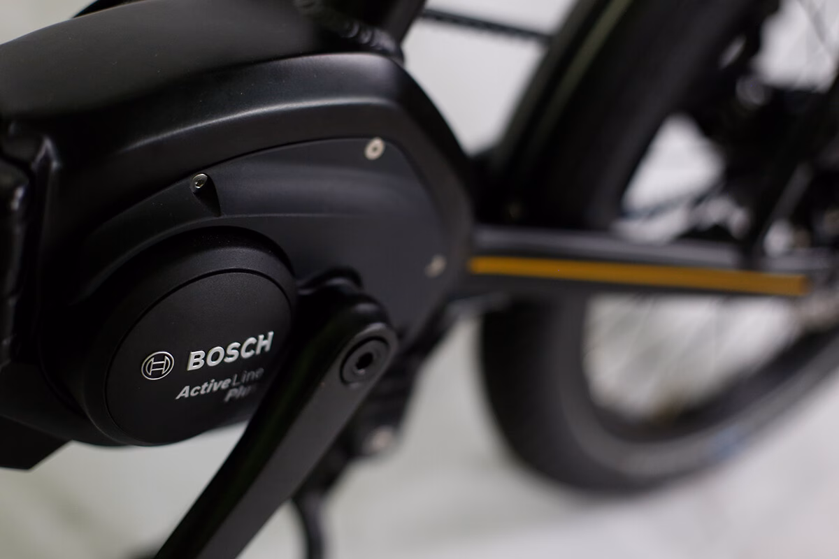Carlos_Faltrad_mit_Bosch_Motor
