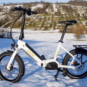 Carlos eFaltrad 2024 EC-48 evo Compact – Das faltbare E-Bike für maximale Mobilität 🚴‍♂️⚡