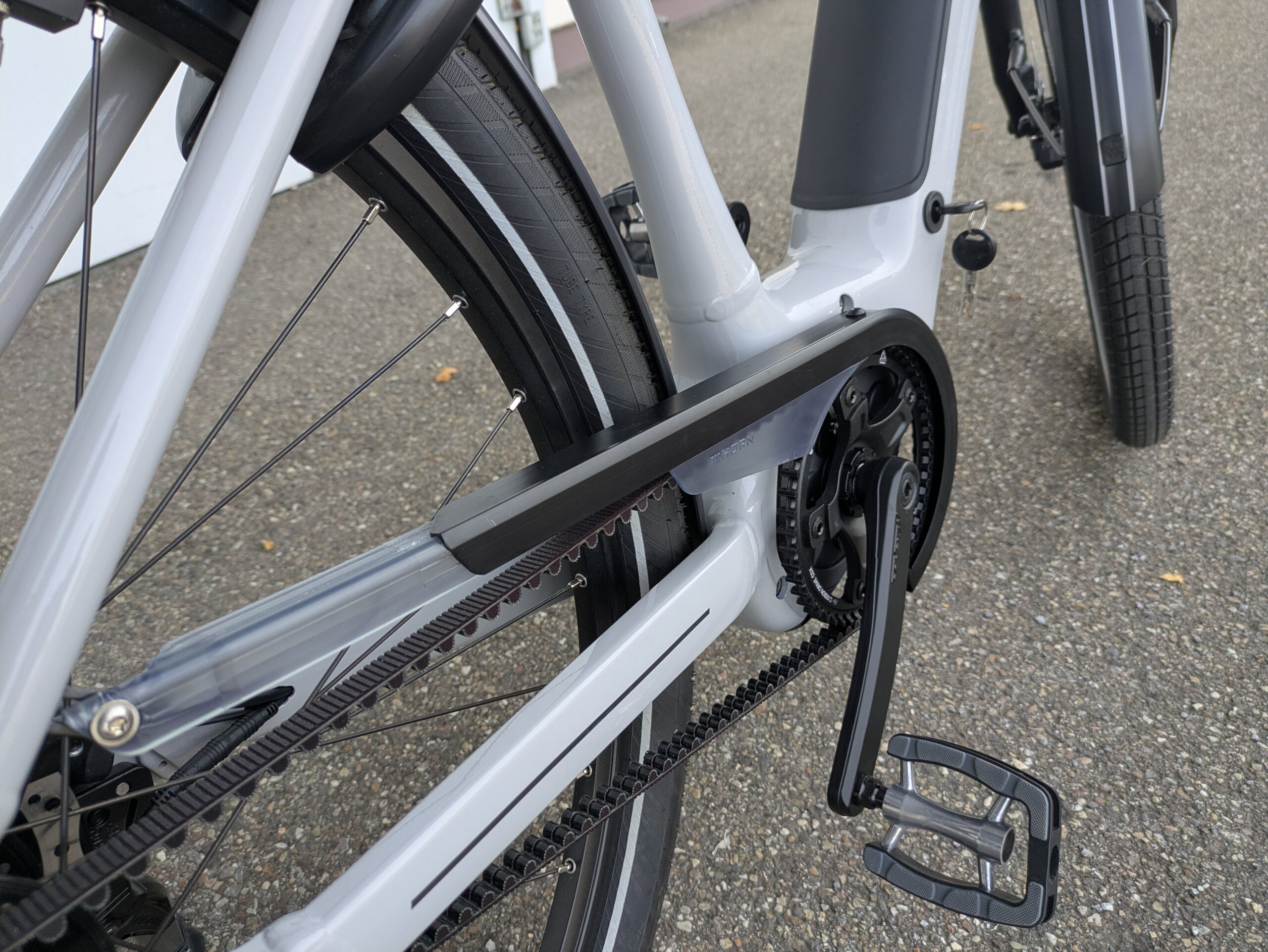 Pxl 20251029 105006936